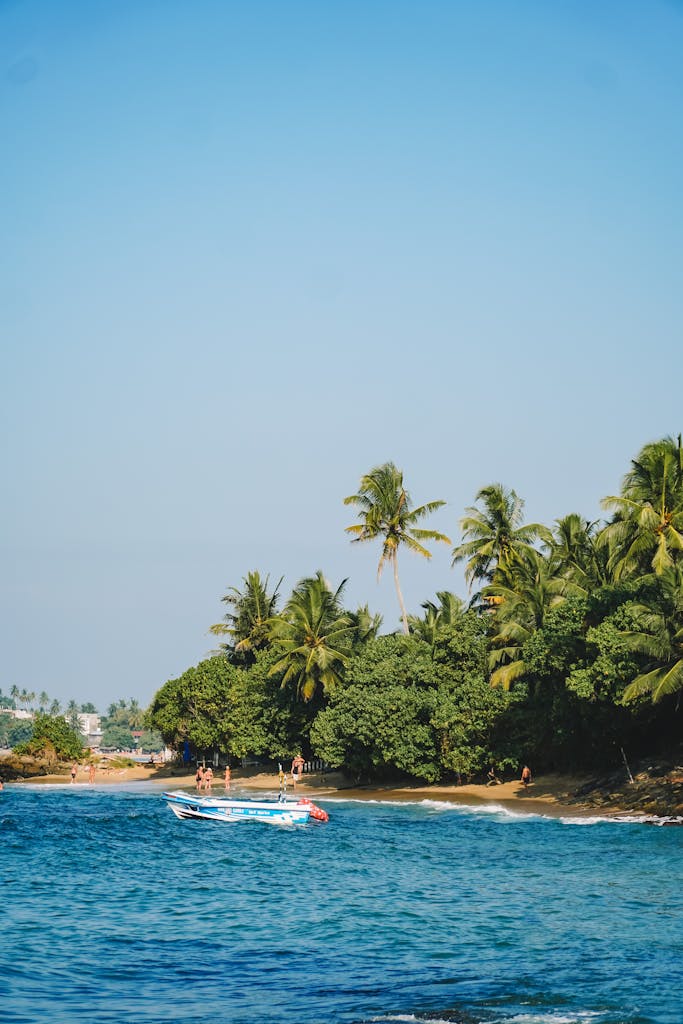 Explore the serene tropical beach in Mirissa, Sri Lanka, featuring lush palm trees and a tranquil boat scene.